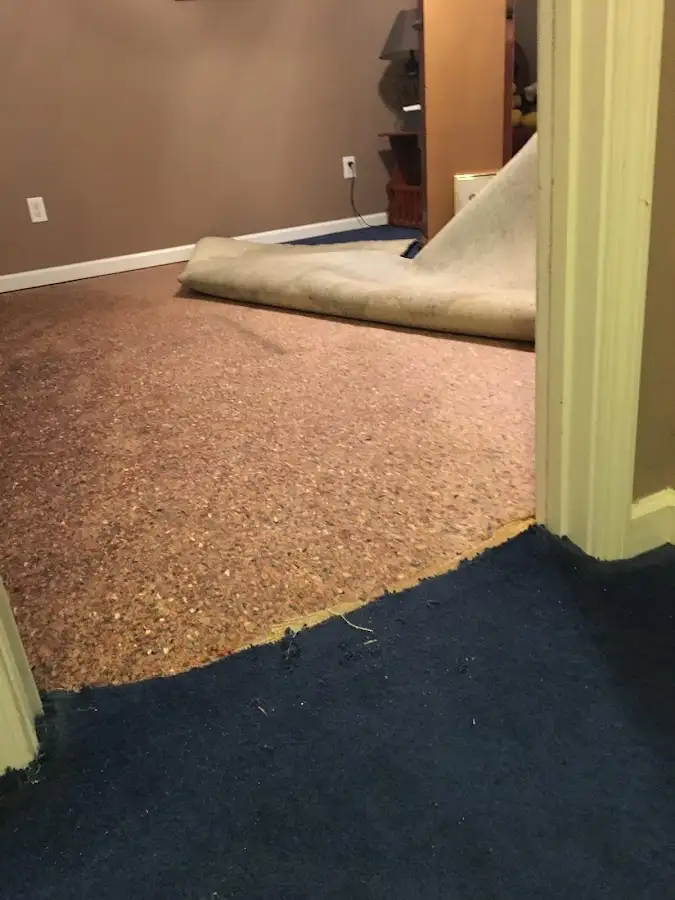 Carpet pad removal revealing water damage during Drying & Dehumidification in Georgetown