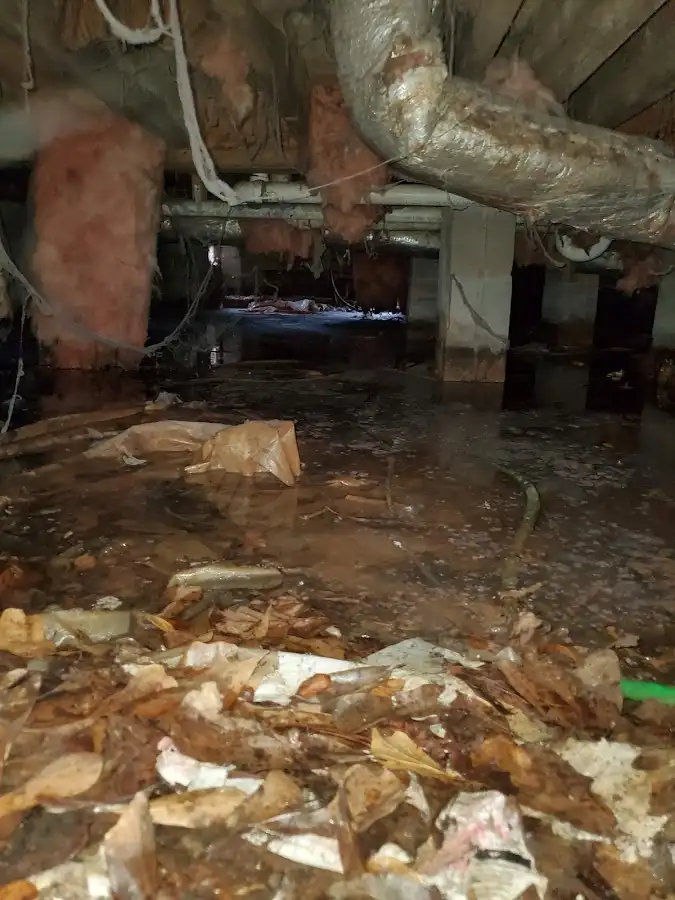 Crawl space flood assessment for Leak Detection & Repair in Georgetown